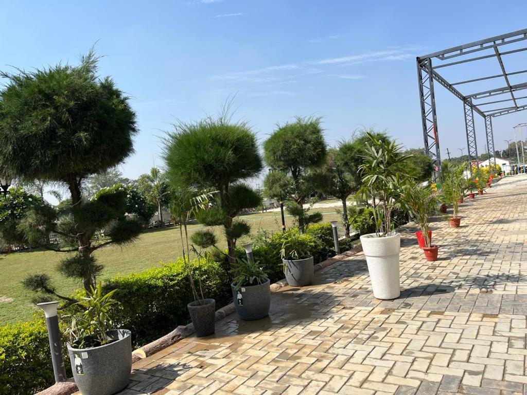 Hotel Eco Park Rewa Exteriér fotografie