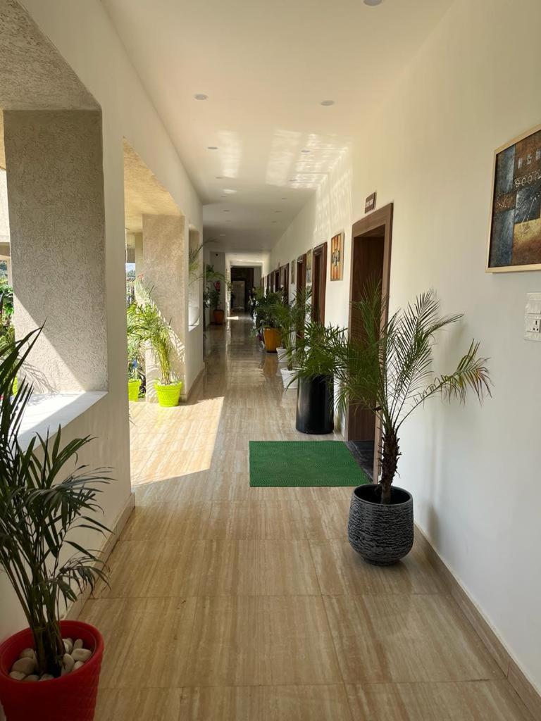 Hotel Eco Park Rewa Exteriér fotografie
